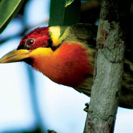 Inkaterra Reserva Amazonica Puerto Maldonado Exteriér fotografie